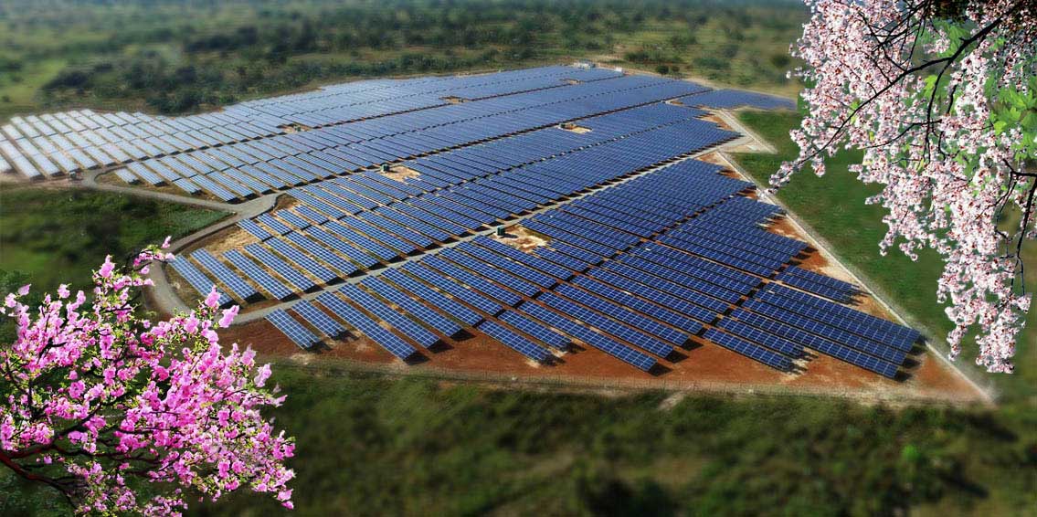 12-자력자강의 창조물 (1)